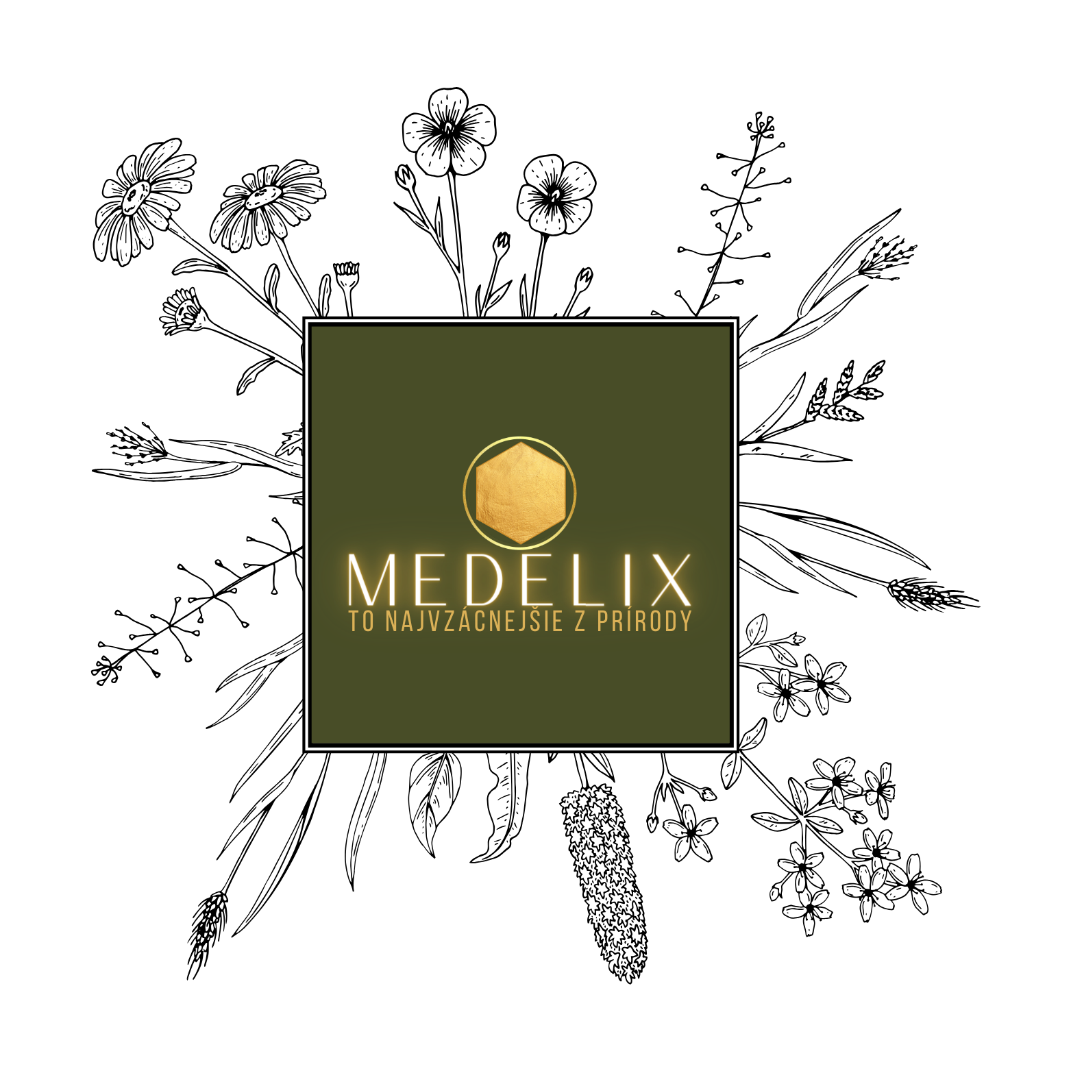 MEDELIX